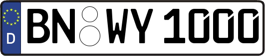 BN-WY1000
