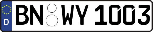 BN-WY1003