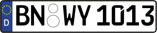 BN-WY1013