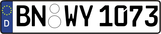 BN-WY1073