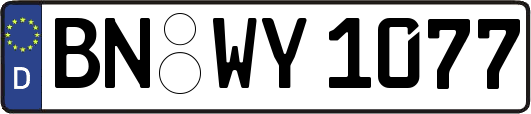 BN-WY1077