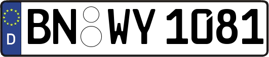 BN-WY1081