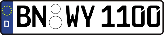 BN-WY1100