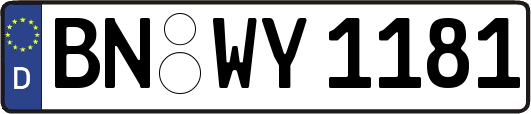BN-WY1181