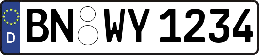 BN-WY1234