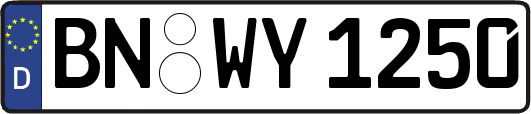 BN-WY1250