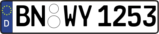 BN-WY1253