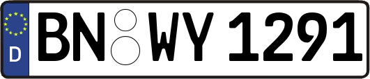 BN-WY1291