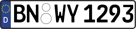 BN-WY1293