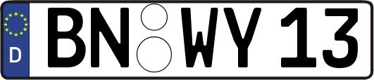 BN-WY13