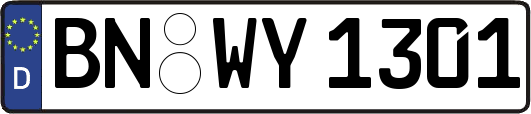 BN-WY1301