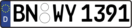 BN-WY1391