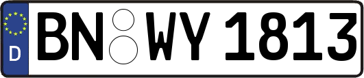 BN-WY1813
