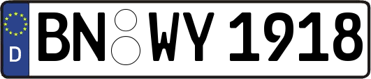 BN-WY1918