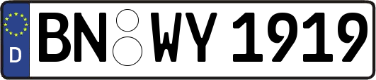 BN-WY1919
