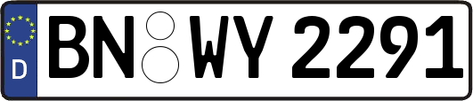 BN-WY2291