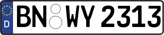 BN-WY2313