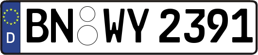 BN-WY2391