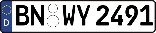 BN-WY2491