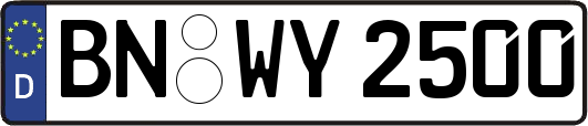 BN-WY2500