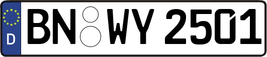 BN-WY2501