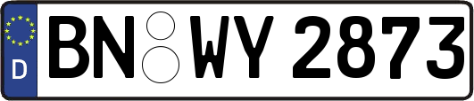 BN-WY2873