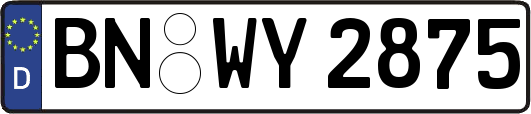 BN-WY2875