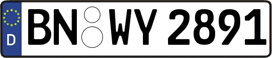 BN-WY2891