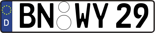 BN-WY29