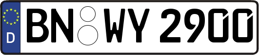 BN-WY2900