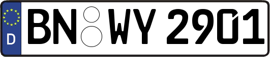 BN-WY2901