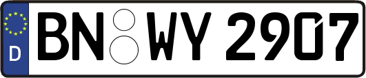 BN-WY2907
