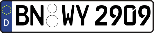 BN-WY2909