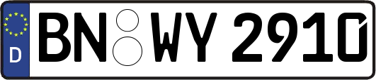 BN-WY2910