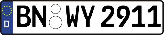 BN-WY2911