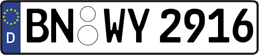 BN-WY2916