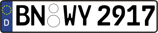 BN-WY2917