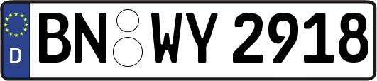 BN-WY2918