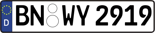 BN-WY2919