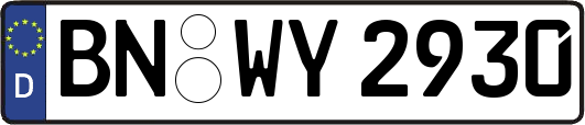 BN-WY2930