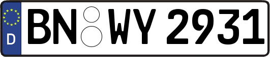 BN-WY2931