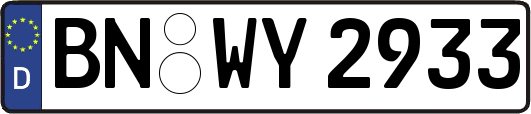 BN-WY2933