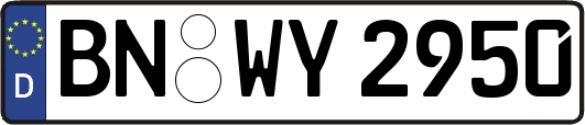 BN-WY2950