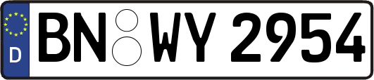 BN-WY2954