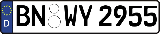 BN-WY2955