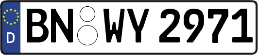 BN-WY2971