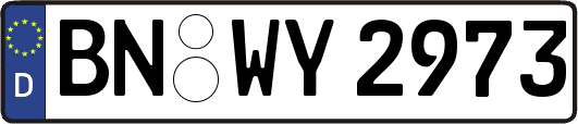 BN-WY2973
