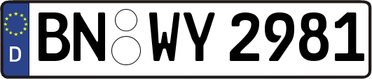 BN-WY2981
