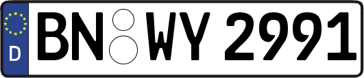 BN-WY2991