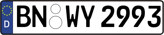 BN-WY2993